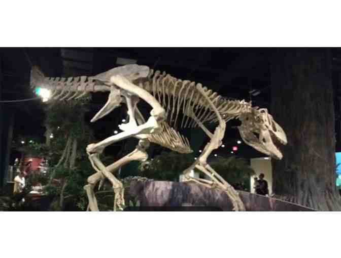 McWane Science Center - Birmingham, AL