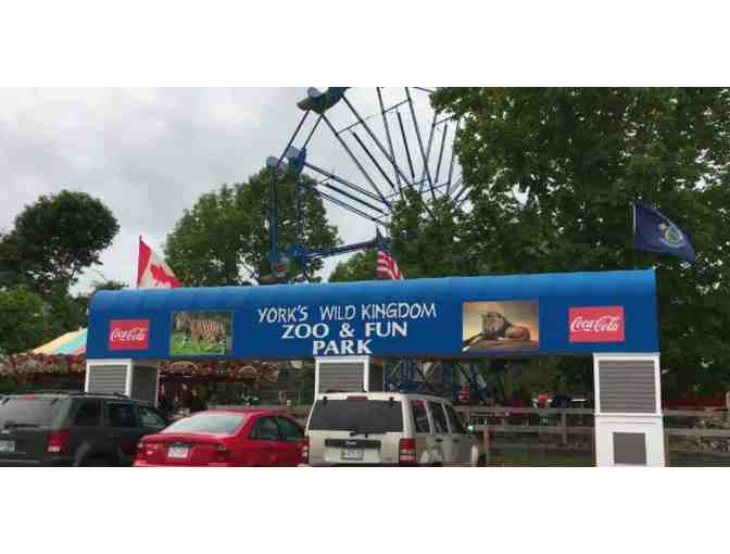 York's Wild Kingdom - York, ME