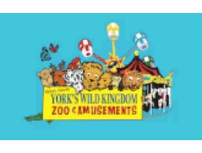 York's Wild Kingdom - York, ME