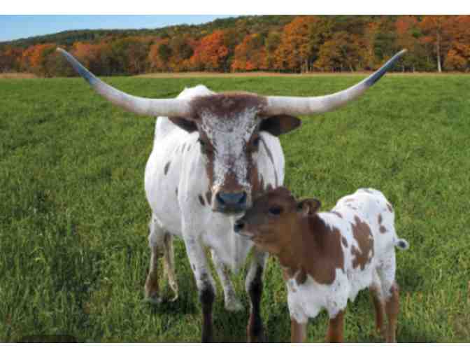 Penns Caverns and Wildlife Park - Centre Hall, PA