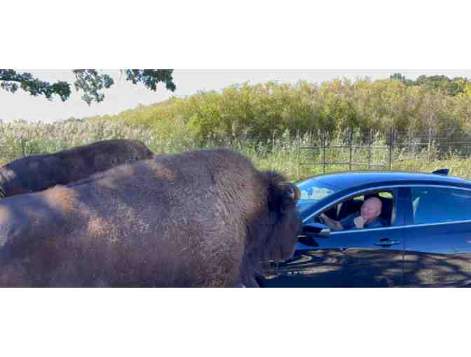 Safari Lake Geneva - Lake Geneva, WI