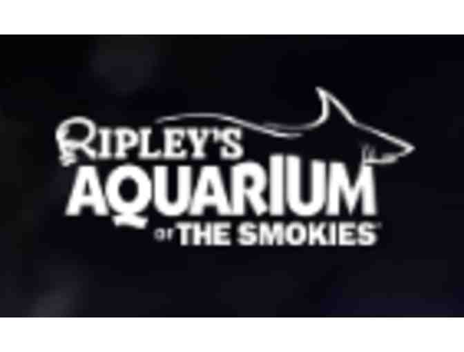 Ripley's Aquarium of the Smokies - Gatlinburg, TN