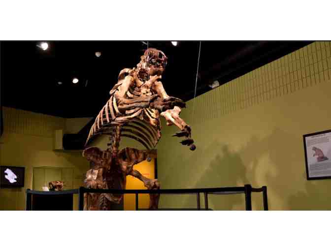 Museum of Arts and Sciences - Daytona, FL