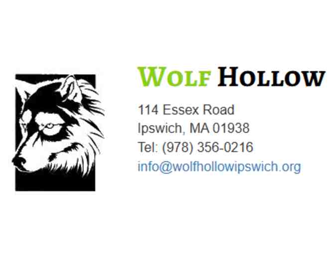 Wolf Hollow - Ipswich, MA