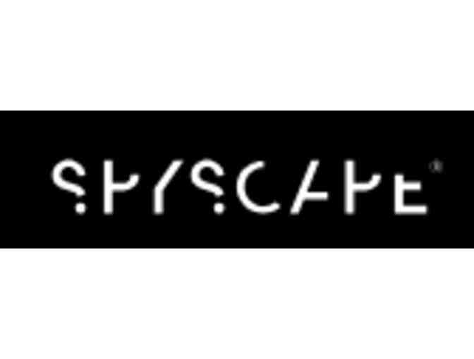 Spyscape - NY City, NY