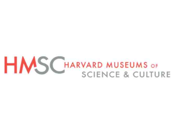 Harvard Museums of Science and Culture - Cambridge, MA