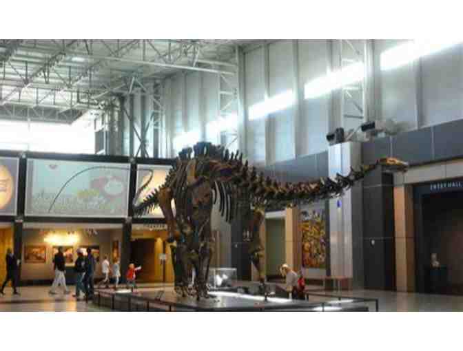 Tellus Museum -Cartersville, GA