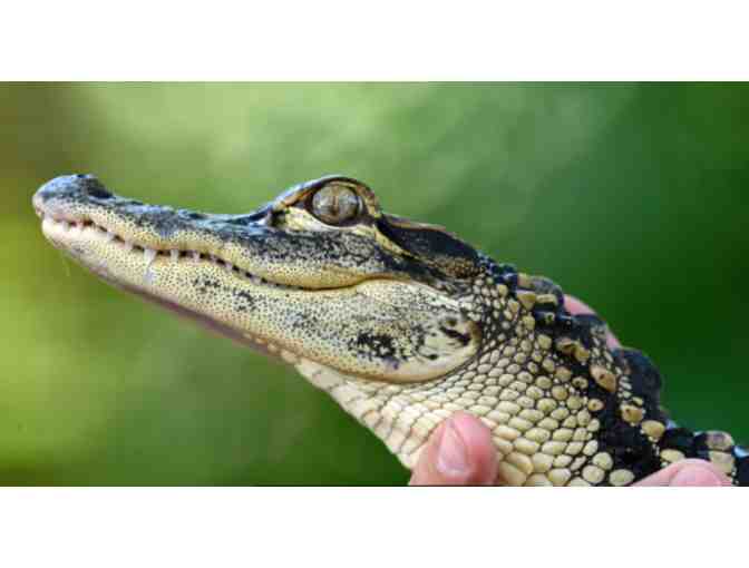 Zoo Miami - Miami, FL