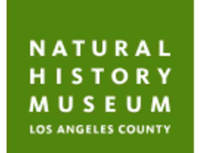 Natural History Museum LA or La Brea Tar Pits - CA