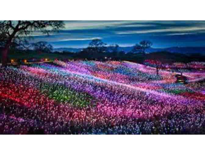 Two Tickets to Bruce Munro: Light at Sensorio, Paso Robles