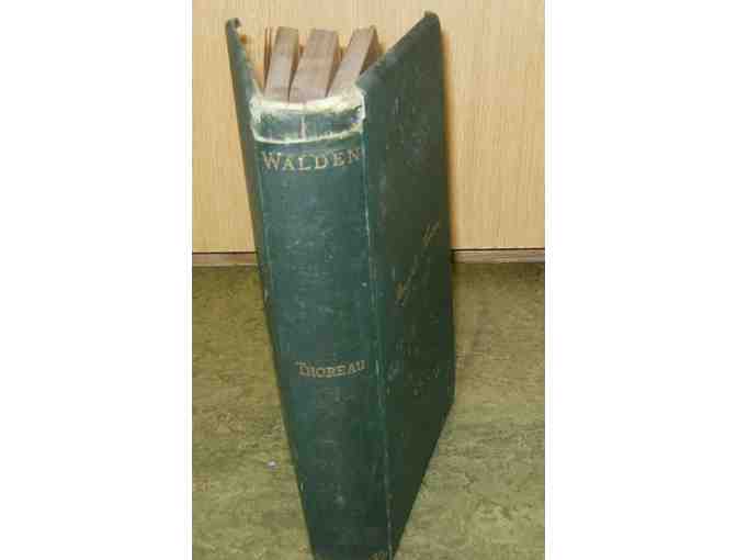 'Walden,' by Henry David Thoreau (Houghton Mifflin, 1882)