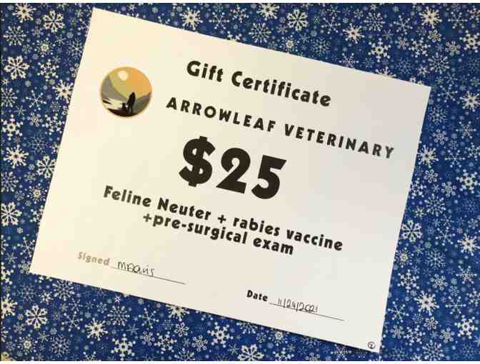 Neuter + Rabies vaccine + exam from Arrowleaf Veterinary #1