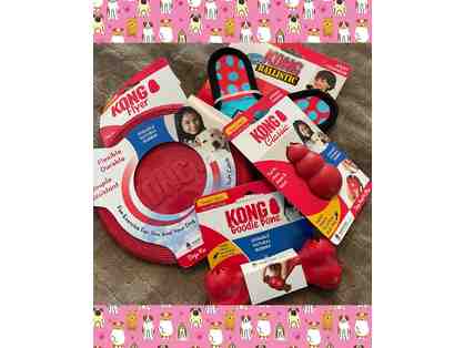 Kong Toys for small to med dogs