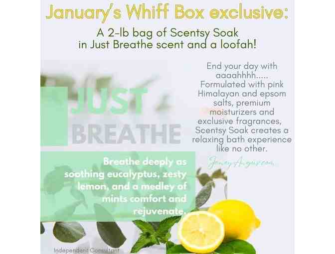 Scentsy Just Breathe Salt Soak - Photo 2