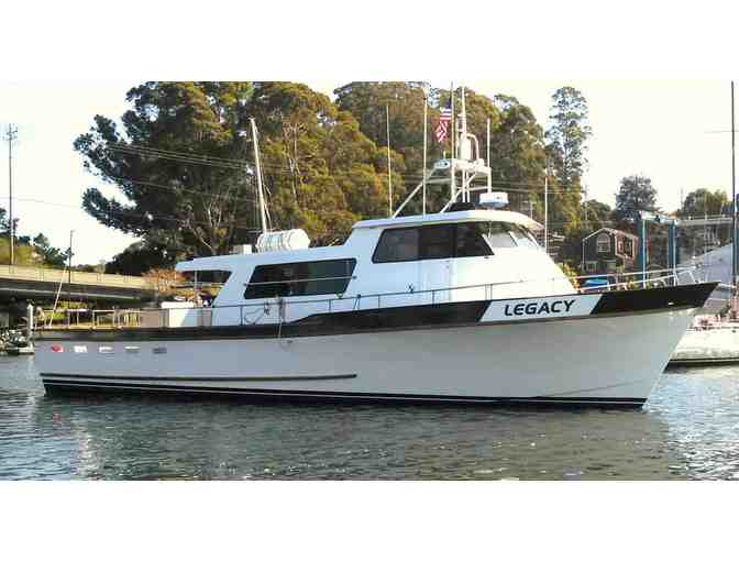 Stagnaro Charter Boats - (1) Adult Whale watching Ticket