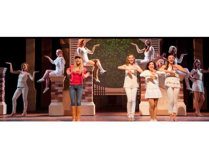 Children's Musical Theater San Jose - 2 tickets