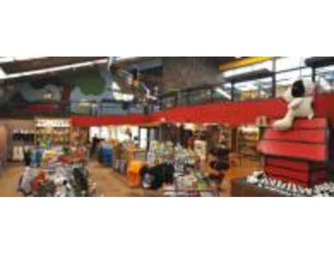 Snoopy's Home Ice - (4) Skating Passes