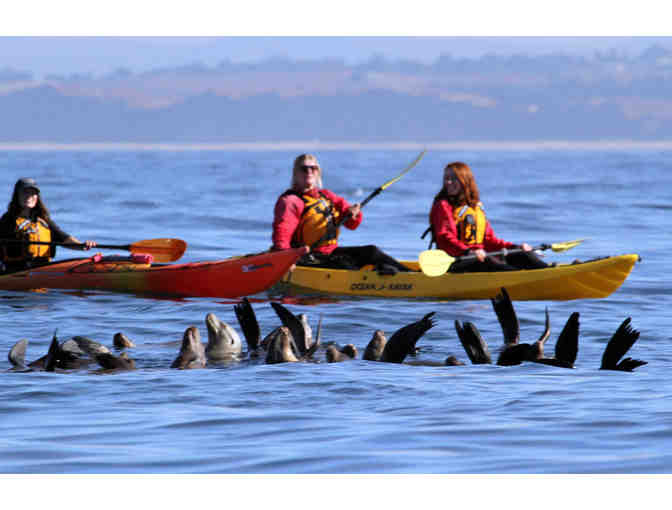 Kayak Connection - Double Kayak Rental