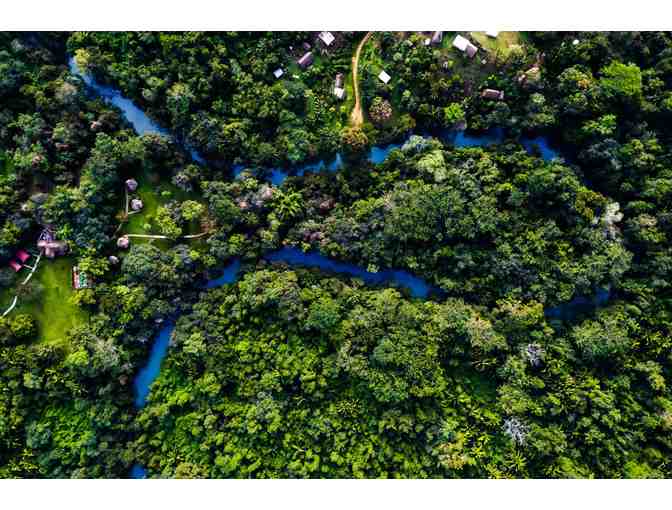 Belize for Chocolate Lovers: Tanager Rainforest Lodge! Trip for TWO!