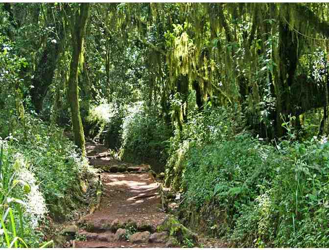 “Kili Climb!” Mt Kilimanjaro, Tanzania! Trip for TWO!