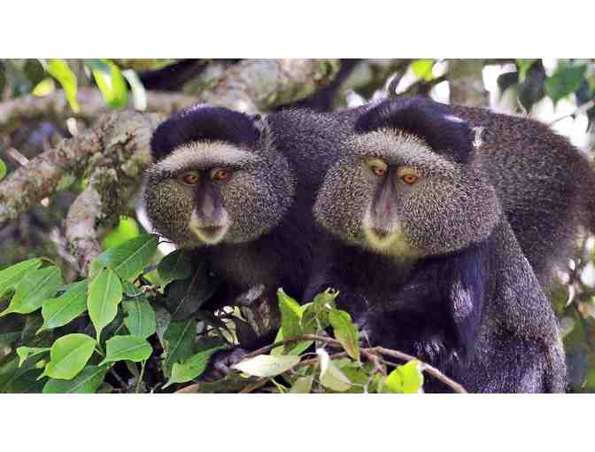 “Kili Climb!” Mt Kilimanjaro, Tanzania! Trip for TWO!