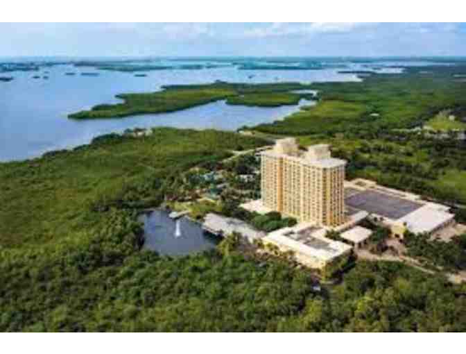 Hyatt Regency Coconut Point Resort & Spa! Bonita Springs Florida!
