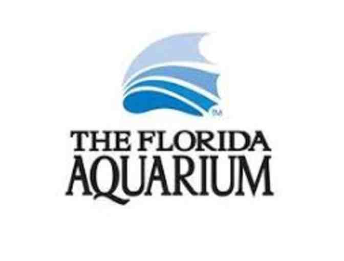 BAG for Kids! Plus MORE! Florida Aquarium! St Pete Museum of History! McDonalds! - Photo 2