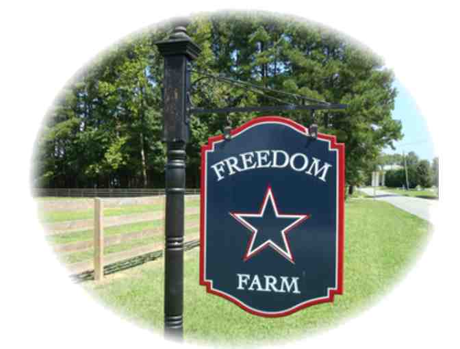 Riding Lessons at Freedom Farm