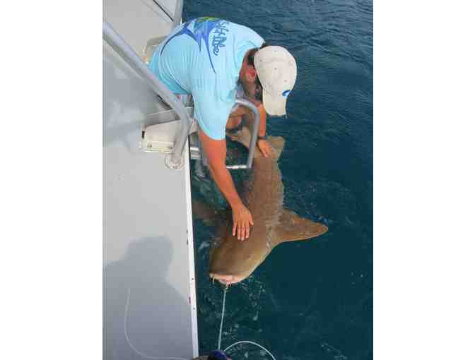 NSU Shark Tagging Full Day Trip for 30 People - Photo 4