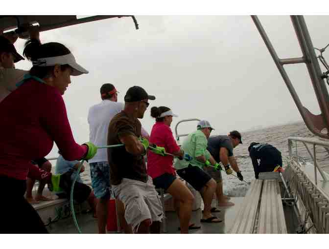 NSU Shark Tagging Full Day Trip for 30 People - Photo 5