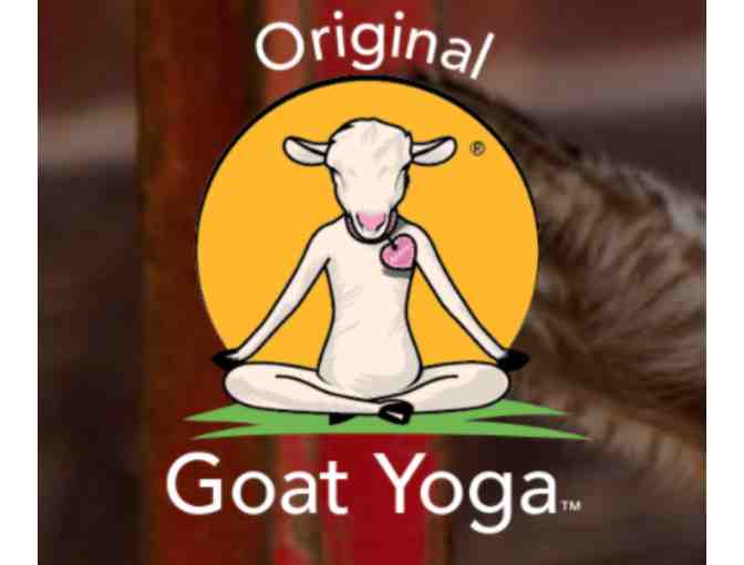 Goat Yoga Class or Stay at the Goatel in Alvin, TX