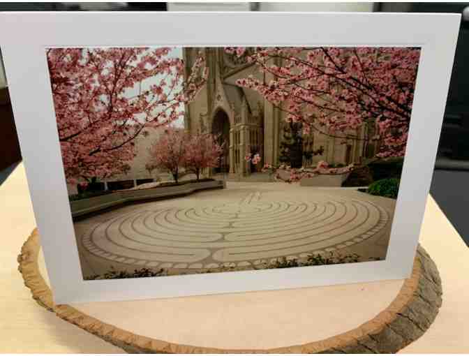 Grace Cathedral - Set of 2 Notecards by Steve Jenner