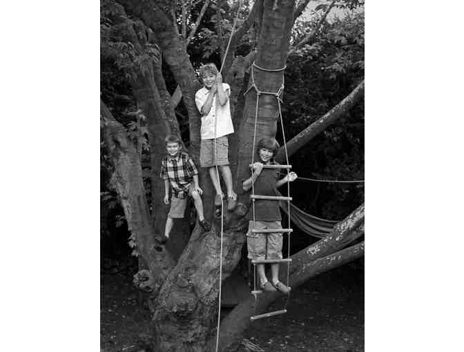 Joshua Ets-Hokin Photography