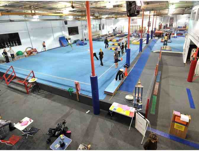 Broadway Gymnastics - One Camp Day