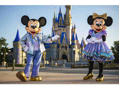 Disneyland or Disneyworld - 2 Hopper Passes