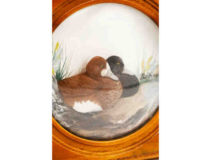 Scaups diorama by Joseph Q. Whipple