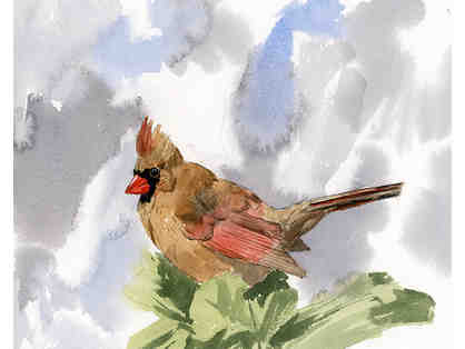 Watercolor painting of female cardinal by Sara Ann Cavic