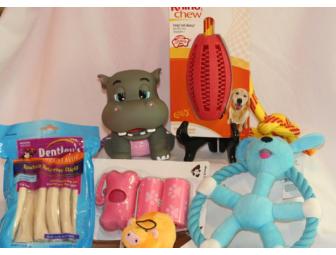 Assorted Dog Toys and Chews