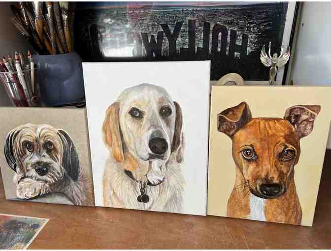 Pet Portrait by Pete